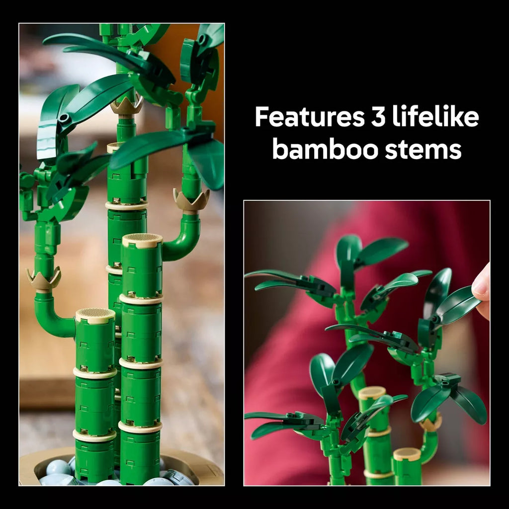 LEGO Botanicals Evergreen Collector’S Set for Gifting and Home Decor 66809