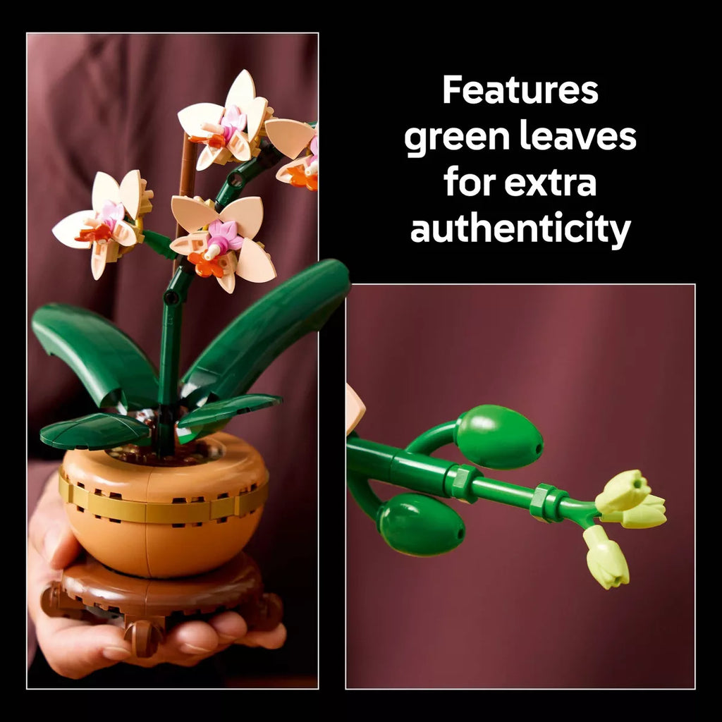 LEGO Botanicals Evergreen Collector’S Set for Gifting and Home Decor 66809