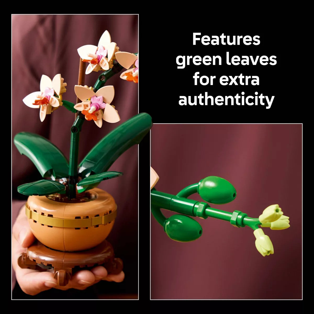 LEGO Botanicals Evergreen Collector’S Set for Gifting and Home Decor 66809