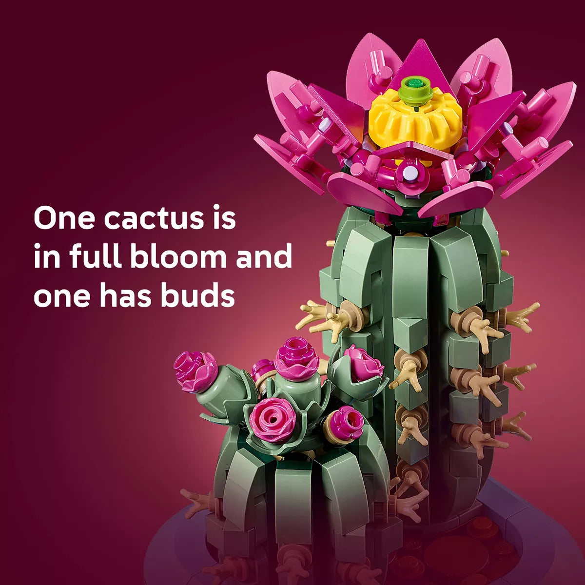 LEGO Botanicals Flowering Cactus Building Toy 11509